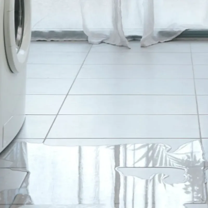 Appliance Leak Cleanup in Elyria, OH