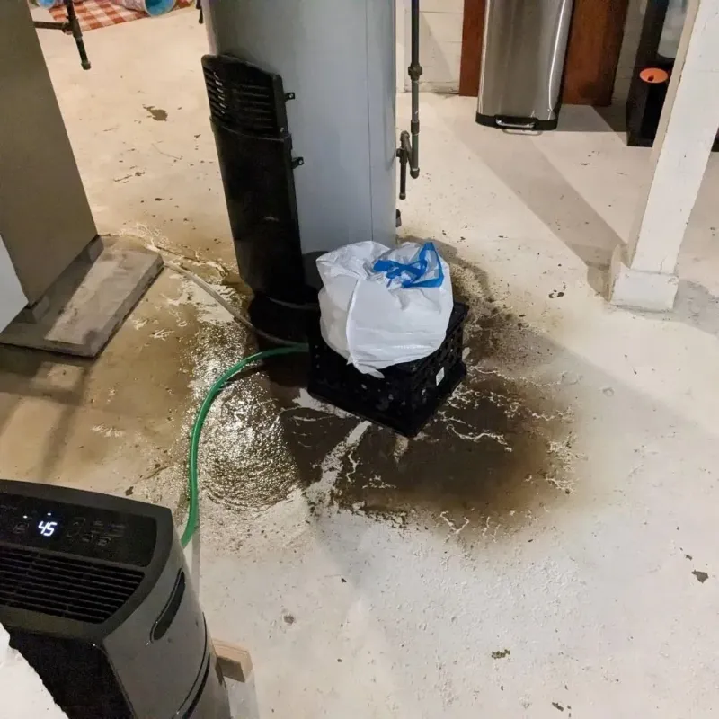 Sewage Backup Cleanup Service in Elyria, OH